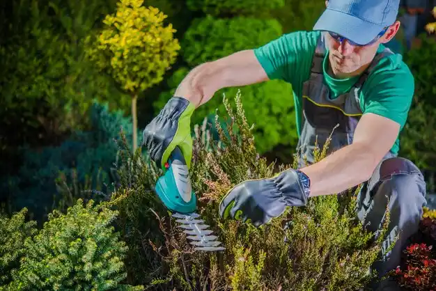 landscaping services Goodrich